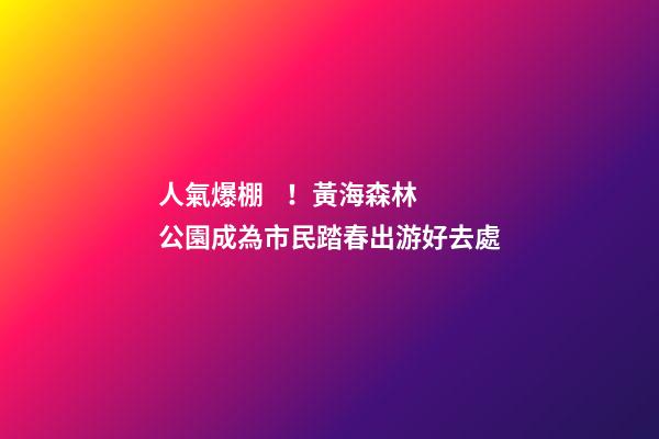 人氣爆棚！黃海森林公園成為市民踏春出游好去處